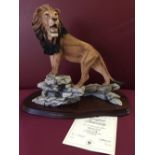 A boxed limited edition BFA (Border Fine Arts) lioness.