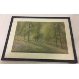 A framed & glazed watercolour of bluebell copse. Signed H. Ashdown Box, dated on back May 29 1922.