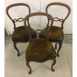 3 Victorian balloon back chairs with cabriole legs and horse hair seats. In need of re-