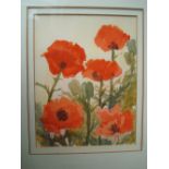 Wild poppies, watercolour,