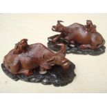 A pair of recumbent carved hardwood water buffalo on stands.