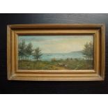 W. Stevens, oil on board "View from the West Cliff". A steamship and a yacht in a bay, signed.