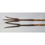 Two trident form Indian spears with bamboo shafts