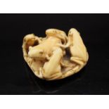 A 19th Century ivory netsuke, chorus of five frogs on lily pad, signature to reverse,