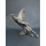 A cold cast resin bronze figure of a Pheasant breaking cover,