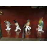 Karl Ens, four porcelain birds including parakeet, chaffinch,