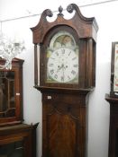 An 8 day moon phase Grandfather clock
 
8 day
Pendulum is missing feather
Both weights