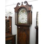 An 8 day moon phase Grandfather clock
 
8 day
Pendulum is missing feather
Both weights
