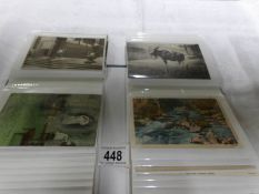 3 albums of postcards