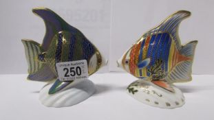 2 Royal Crown Derby paperweights, Pacific Angel fish and tropical fish
 
This is in good condition