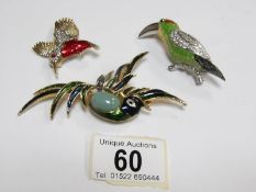 3 exotic bird brooches
