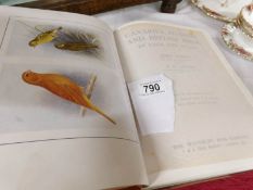 A natural history book entitled 'Canaries, Hybrids and British birds' leather bound, by John Robson