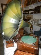 An old oak cased horn gramaphone with green painted horn,