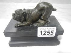 A bronze bull dog on marble plinth