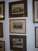 3 framed and glazed 19th century engravings including Albert Hall,