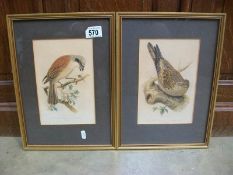 2 framed and glazed bird plates from Cassel's book of birds,