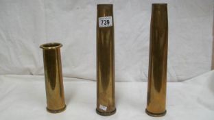 3 brass shell cases