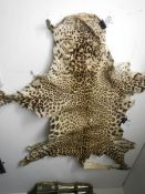 A leopard skin rug