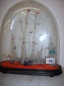 A hand made glass boat display under glass dome