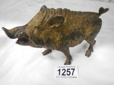 A cold painted bronze boar