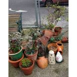 A large quantity of earthenware pots & plants