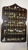 A collection of souvenir teaspoons on rack