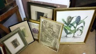 6 framed and glazed pictures