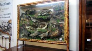 Taxidermy - a case of various birds and mammals including pheasant, stoats, rabbit,