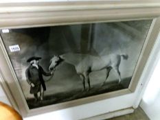 A large framed and glazed Victorian photographic reproduction of horse with handler