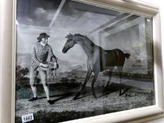 A large Victorian framed and glazed photographic reproduction of horse with handler