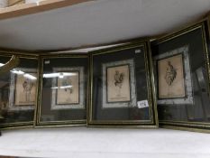 A set of 4 framed and glazed classical prints