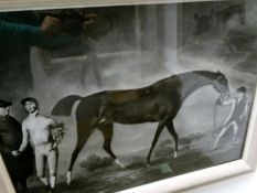 A large framed and glazed Victorian photographic reproduction of race horse training