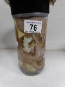 A preserved octopus in a jar