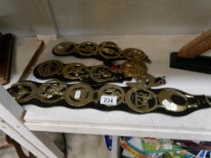 A quantity of horse brasses on martingales