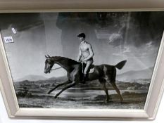 A large framed and glazed photographic reproduction of race horse training