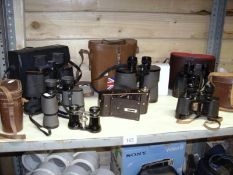 A shelf of binoculars