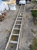 2 old ladders