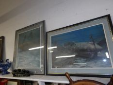 A pair of framed and glazed limited edition Randall Scott prints