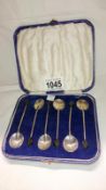 Cased set of 6 HM silver coffee spoons