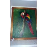 An oil on canvas of a Macaw parrot signed Gasoir 1497