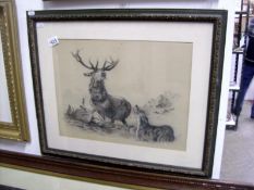 A framed and glazed charcoal drawing 'Stag confronting hounds'