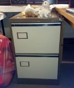 A 2 drawer filing cabinet