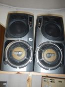 2 large DSW speakers