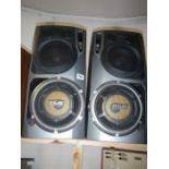 2 large DSW speakers