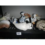 A shelf of animals