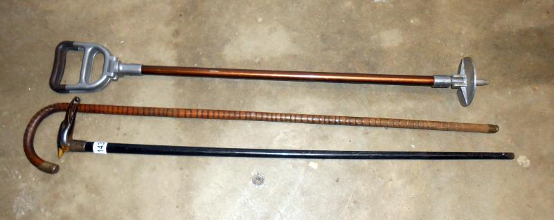 2 walking sticks including 1 with bird's head top and a shooting stick
