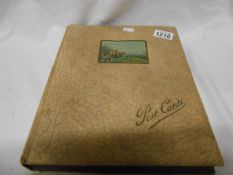 Postcard album with early 20th century postcards