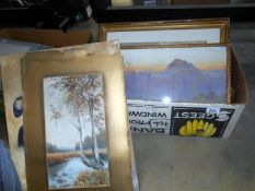 A box of pictures including watercolours, oils,