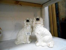 Pair of mantel piece Spaniel dog figures