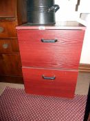 A 2 drawer office filing cabinet